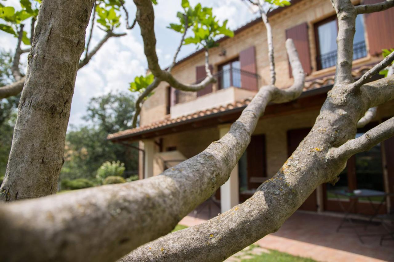 Casa Di Mi Serrungarina Exterior foto